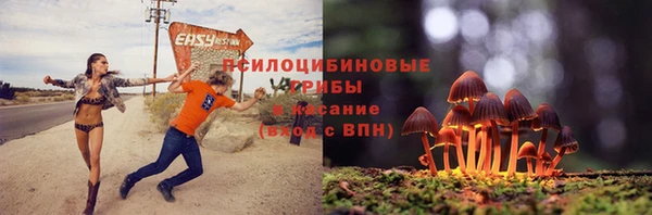 винт Сосновка