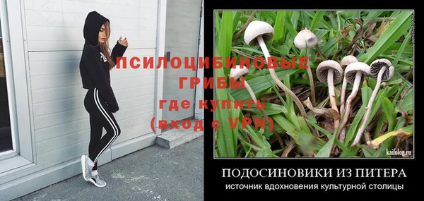 мескалин Бородино